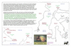 car24 macassar strait_thumb.gif